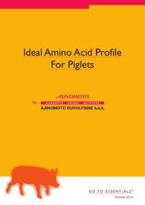 Ideal Amino Acid Profile For Piglets