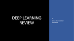 DEEP LEARNING REVIEW