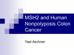 MSH2 and Human Nonpolyposis Colon Cancer