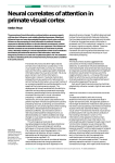 Neural correlates of attention in primate visual cortex