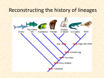 12-History of Lineages