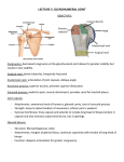 LECTURE 5: GLENOHUMERAL JOINT