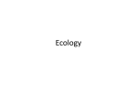 Ecology - Maria Regina