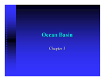 Ocean Basin