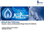 Natural Gas Pathways