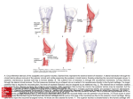 Slide 1 - AccessSurgery