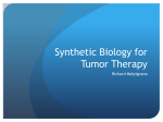 Synthetic Biology for Tumor Therapy