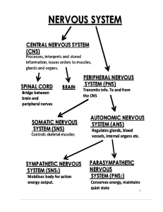 Diagrams - whsanatomy