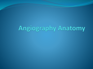 Angiography_Anatomy_Part_1