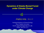 Dynamics of Alaska Boreal Forest under Climate