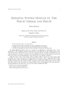 Skeletal System Module 13: The Pelvic Girdle and