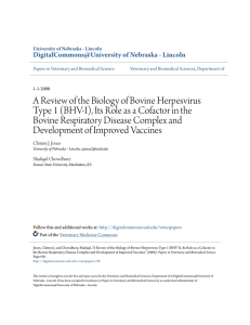A review of the biology of bovine herpesvirus type 1 (BHV