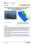 Advice relevant to the identification of critical habitat for Leatherback