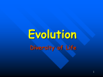 darwin evolution