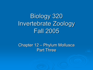 Biology 320 Invertebrate Zoology Fall 2005