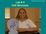 Lab # 4 Cell Structure