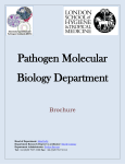 Department of Pathogen Molecular Biology (PMB)