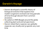 Darwin*s Voyage - Miami Beach Senior High School