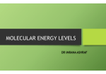 MOLECULAR ENERGY LEVELS