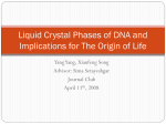 Liquid Crystal Phases: Chiral Nematic Phase