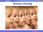 Human Cloning - Albert