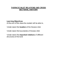 THORACIC INLET RELATIONS AND CROSS SECTIONAL ANATOMY