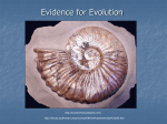 Evolution Part B - kehsscience.org