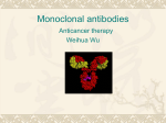 Monoclonal antibodies-anticancer therapy