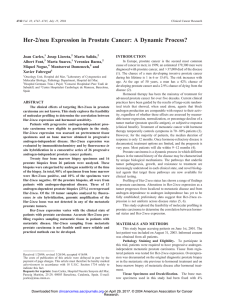 Her-2/neu Expression in Prostate Cancer: A Dynamic Process?