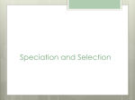 Speciation and Selection