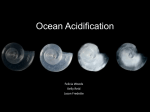 ocean acidification