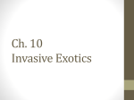 Invasive Exotics