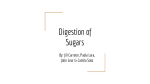 Digestion of Sugars