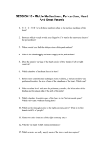 SESSION 10 - Middle Mediastinum, Pericardium, Heart And Great