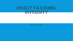 Insect Taxnomic Diversity