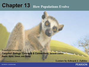 Chapter 19--vertebrates