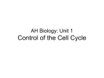 Unit 1 PPT 12 (2fiii Control of the cell cycle)