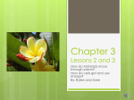 Chapter 3 Lesson 2 and 3