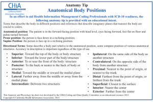Anatomical Body Positions - California Health Information Association