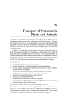 Transport of Materials in Plants and Animals