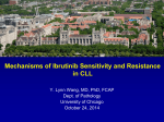 Mechanisms of ibrutinib resistance