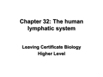 The Lymphatic System - leavingcertbiology.net
