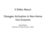 5 Slides About: Dioxygen Activation in Non-Heme