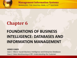 foundations of business intelligence: databases and information