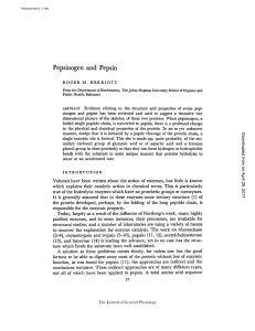 Pepsinogen and Pepsin - The Journal of General Physiology