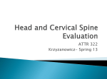 Head and Cervical Spine Evaluation