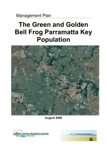 The Green and Golden Bell Frog Parramatta Key Population