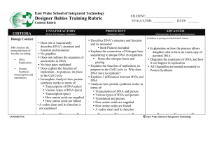 Designer Babies Training Rubric