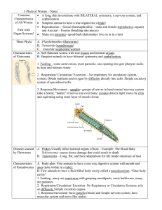 3 Phyla of Worms – Notes - Effingham County Schools