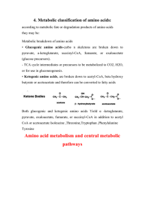 Ketogenic amino acids